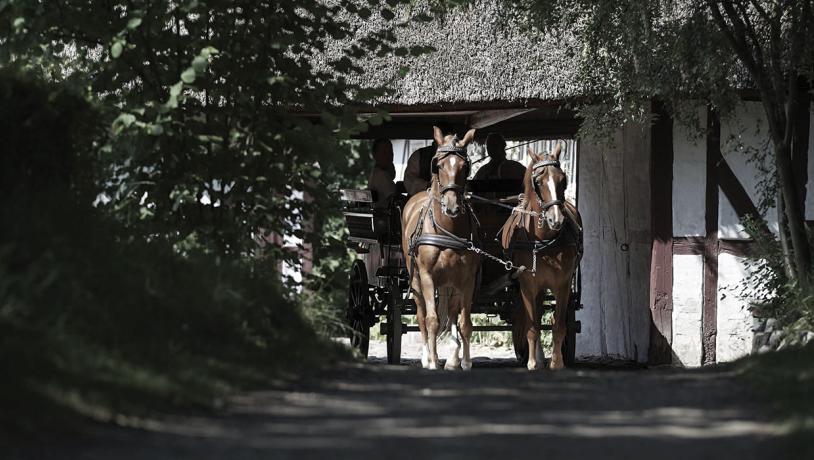 Pferdekutsche im Fünischen Dorf