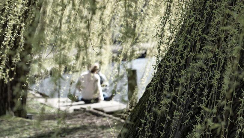 Ein Pärchen, das am Fluss hinter einem Baum sitzt