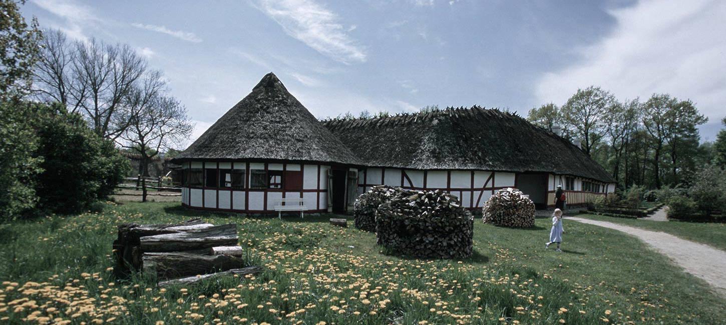 Dandelions and halftimbered houses at the Funen Village