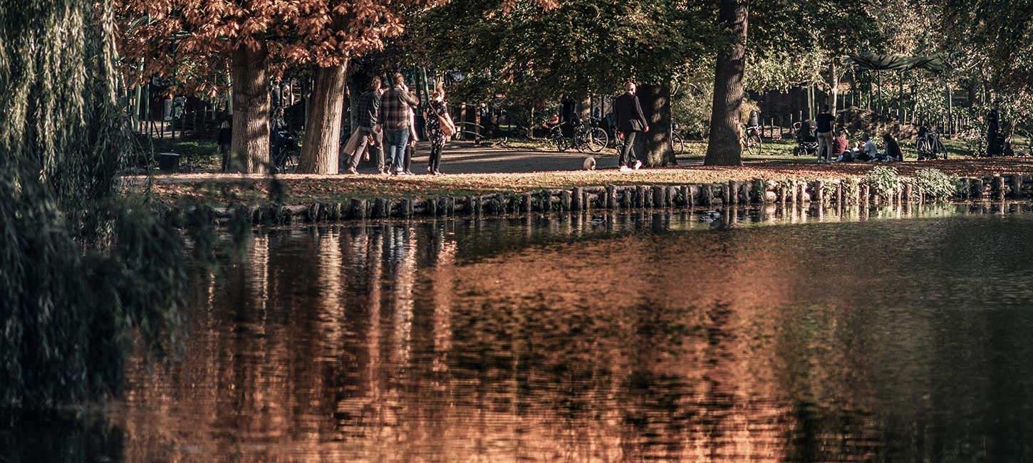 Herbst am Fluss entlang