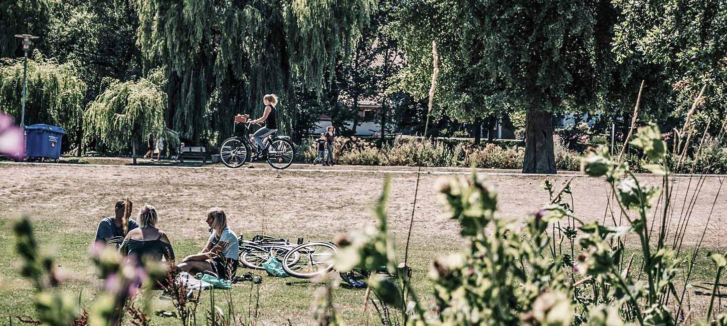 Im Park entspannen