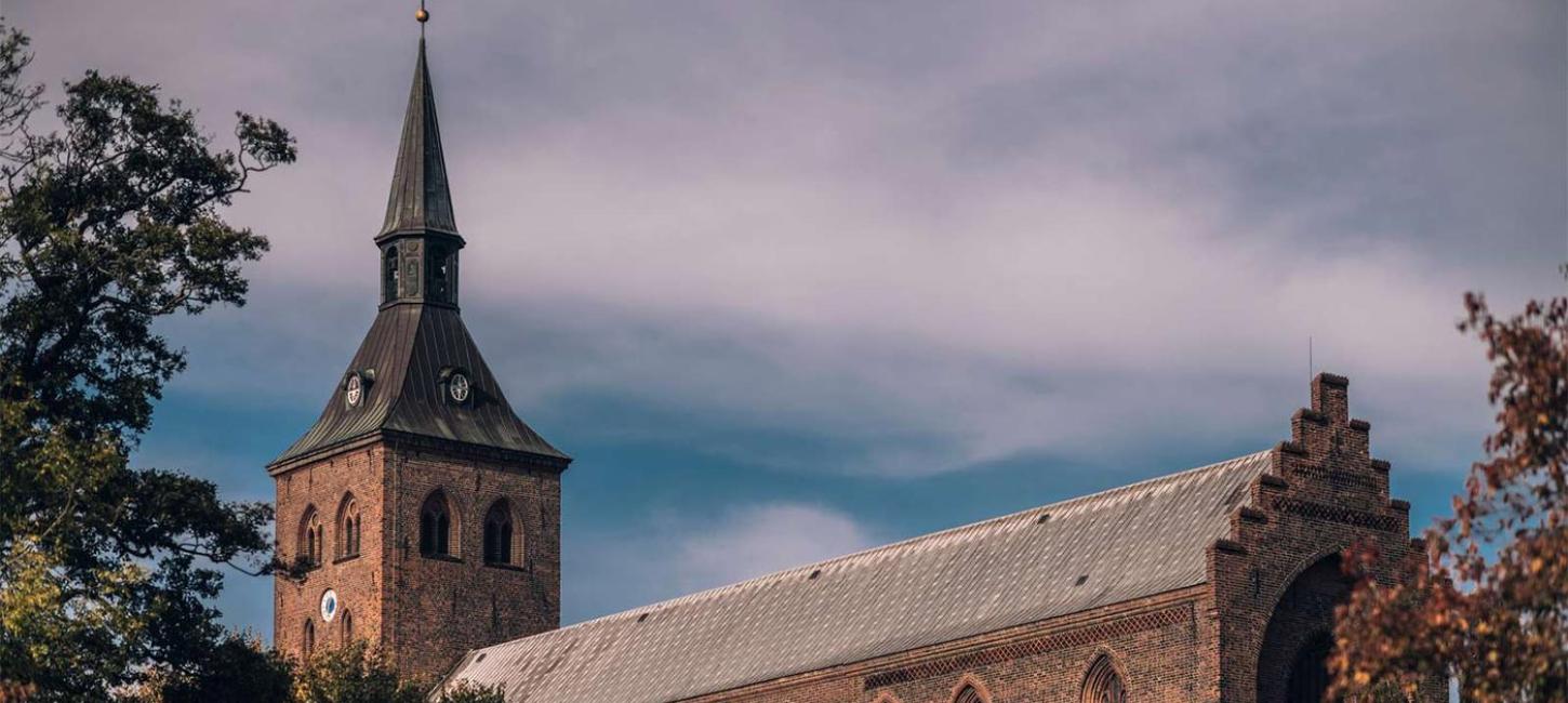 Odense Domkirke efterår