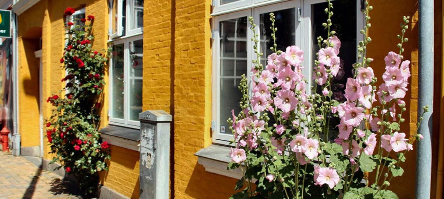 Pias B&B i Odense centrum