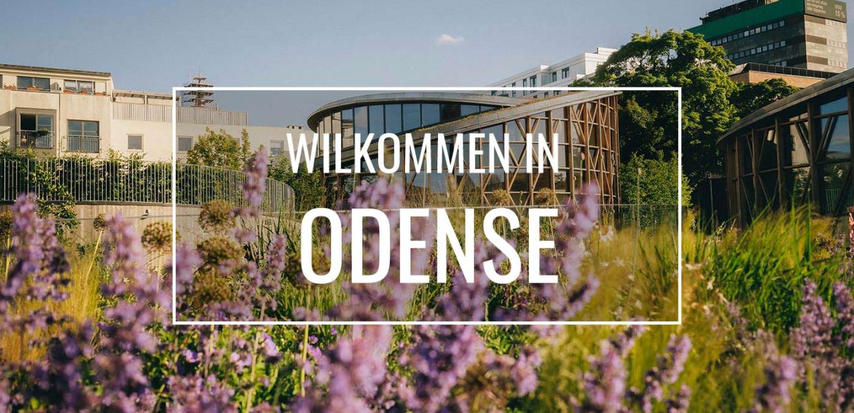 Wilkommen in Odense