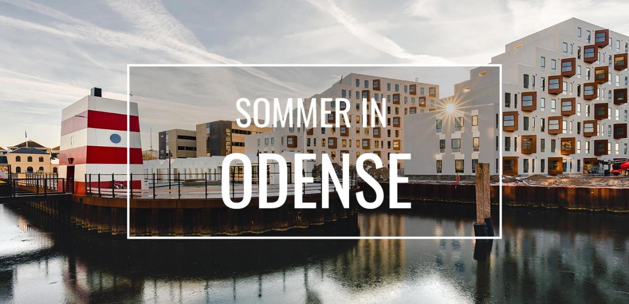 Sommer in Odense Hafenbad 