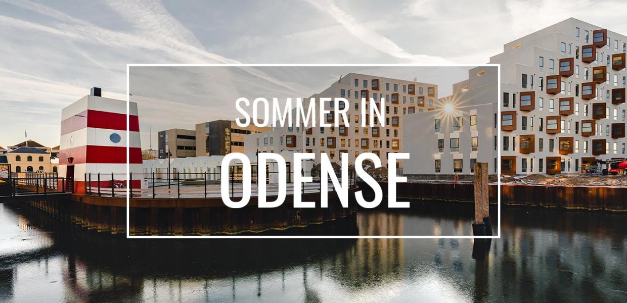 Sommer in Odense Hafenbad