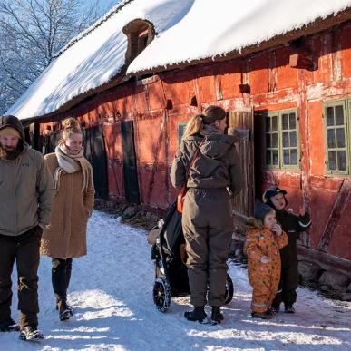 Vinter i Den Fynske Landsby