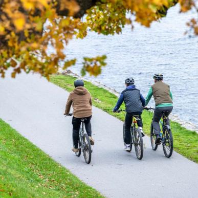 Eine Familien-Fahrradtour
