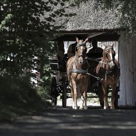 Pferdekutsche im Fünischen Dorf