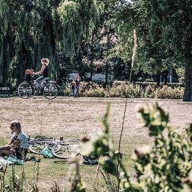 Im Park entspannen