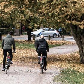 Zwei Fahrradfahrer im Herbst