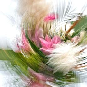 hca forever blomster