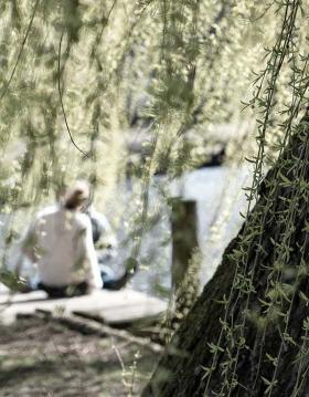 Ein Pärchen, das am Fluss hinter einem Baum sitzt