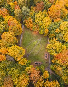 drone blad efteraar højformat