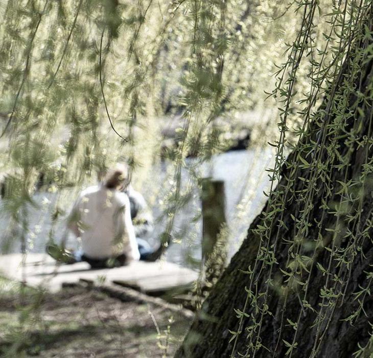 Ein Pärchen, das am Fluss hinter einem Baum sitzt