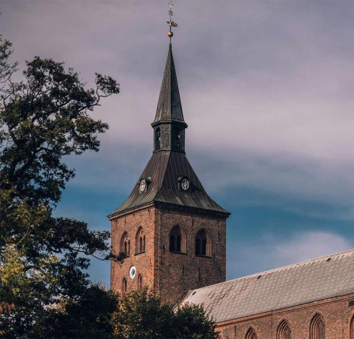 Odense Domkirke efterår
